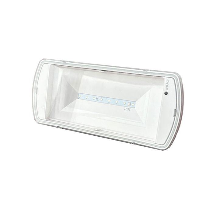 Bulkhead Emergency Light
