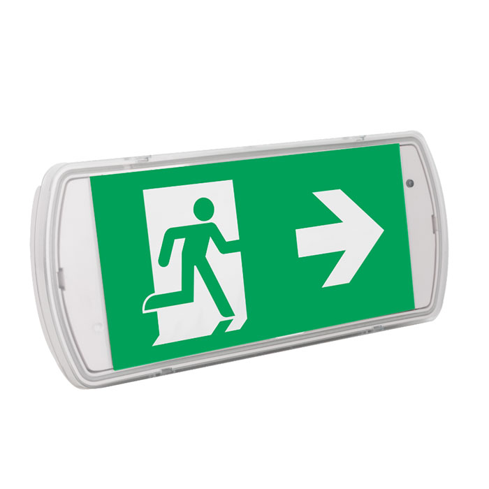 Bulkhead Wall Mounted Exit Light